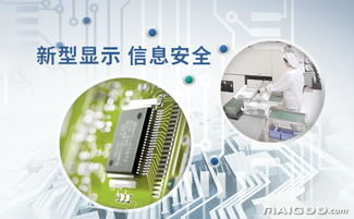 中国电子软件与电路元件品牌实力解析 十大品牌网信息网络服务洞察